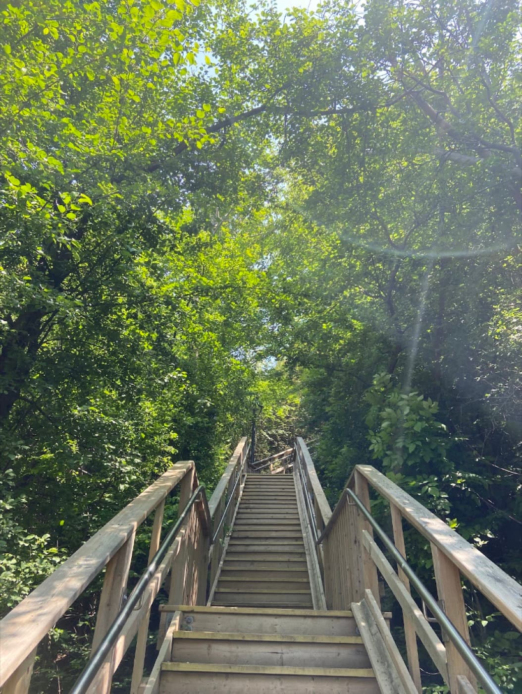 Hiking trail view